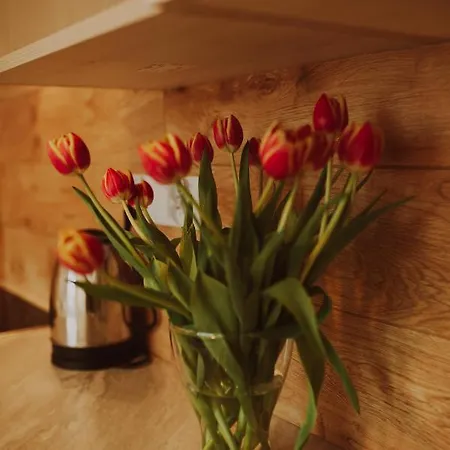 Homestay Soleil De Malta Poznan